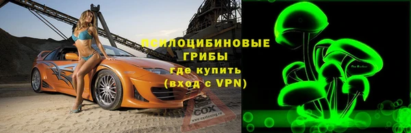 тгк Горнозаводск