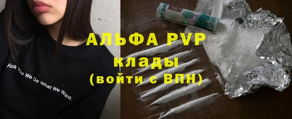 ГАЛЛЮЦИНОГЕННЫЕ ГРИБЫ Горняк
