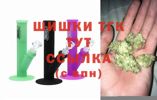 ГАЛЛЮЦИНОГЕННЫЕ ГРИБЫ Горняк