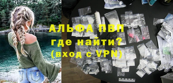 прущие грибы Струнино