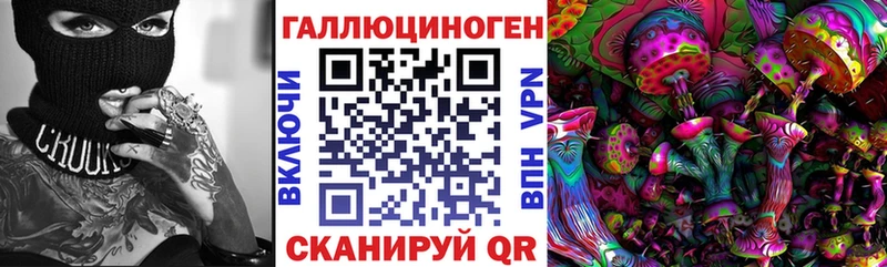 МЕГА онион Емва Псилоцибиновые грибы прущие грибы купить наркотик